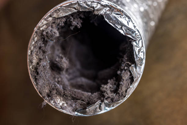 Best Air Duct Cleaning Company Near Me  in , HI